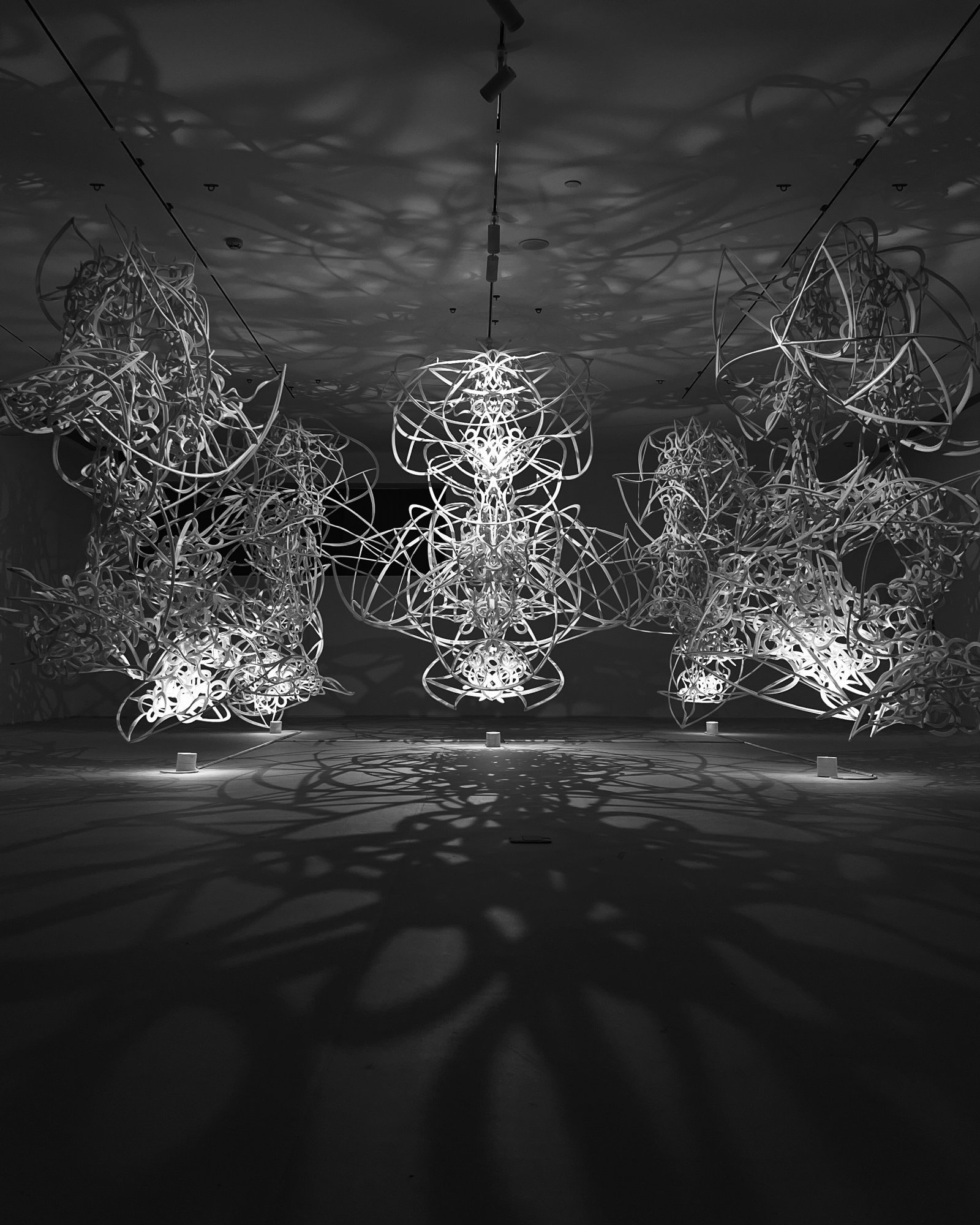 Ryunosuke Okazaki’s first solo exhibition in China at D+ Museum, Shenzhen